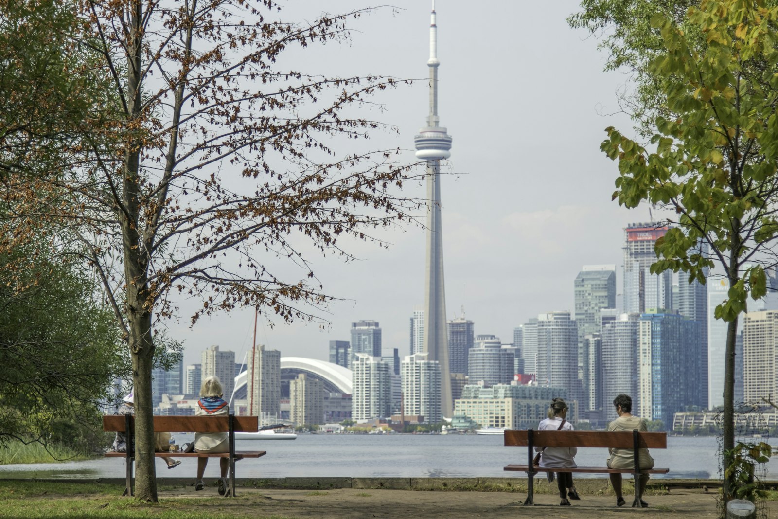 Ontario Just Reset Its Entire Immigration Program - Canada immigration guide by Sawubona Canada RCIC